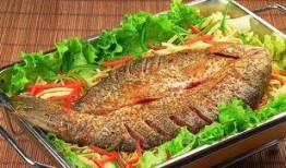 石家庄烤鱼爆料事件视频,视频揭露惊人真相，网友热议不断